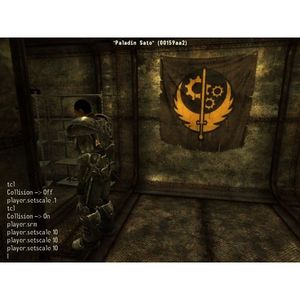 Skills and Special Stats Cheat for Fallout New Vegas 